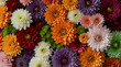 © Rab - Flowers wall background with amazing red,orange,pink,purple,green and white chrysanthemum flowers ,Wedding decoration, hand made Beautiful flower wall ... See More, generative.ai