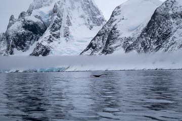 Wall Mural - Antarctica mountains and sea. South Pole. Antarctica landscape.