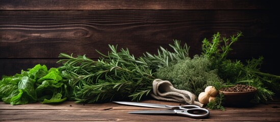 Canvas Print - Herbs freshly cut with scissors on a wooden backdrop with ample copy space image.