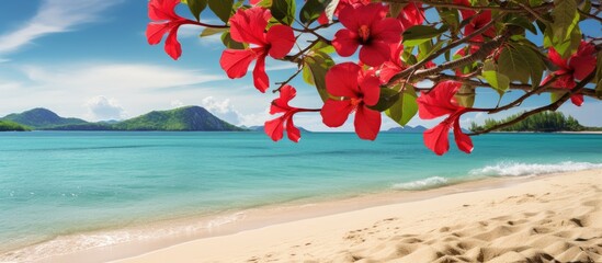 Poster - Perfect scenery for a honeymoon with red hibiscus flowers and a stunning beach, creating an ideal backdrop for a romantic getaway, with a serene and peaceful ambiance, featuring copy space image.