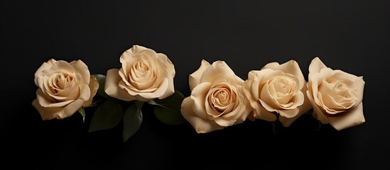 Aufkleber - top view of five beige roses on a dark backdrop, providing ample copy space for text.
