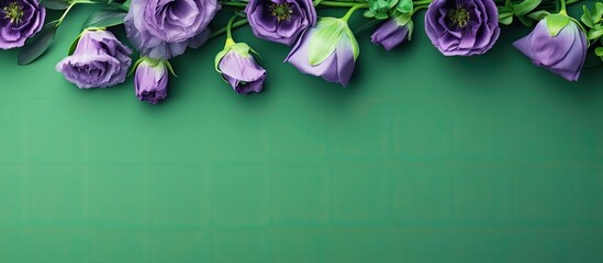 Poster - Green background with a border frame of violet eustoma flowers surrounding copy space image.