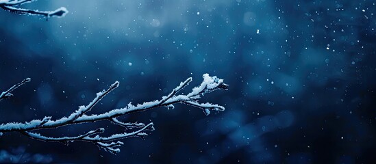 Aufkleber - Snow-covered branch in dark blue setting with ample copy space image.