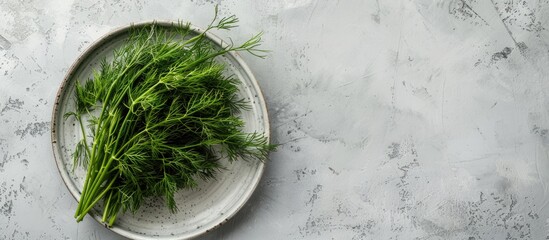 Poster - Top view of a plate with a bunch of fresh green dill on a light grey table with a space for text within the image.