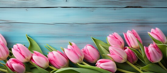 Aufkleber - Pink tulips in spring blooming against a weathered blue wooden backdrop with ample copy space image.