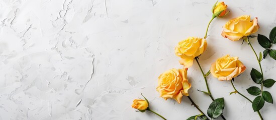 Poster - Yellow roses adorning a blank card set against a light grey background in a flat lay composition with copy space image.
