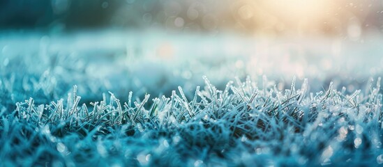 Poster - Winter frost decorating grass in the background of a copy space image.