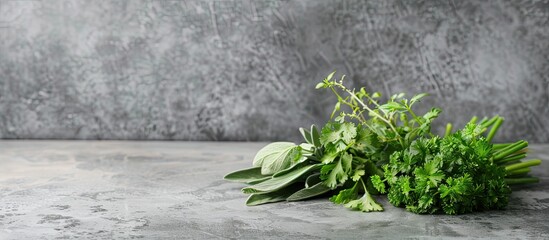 Poster - On a gray table, there is a bunch of fresh herbs with a banner providing copy space image.
