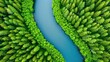 © CrazyJuke - Stunning aerial view over a mountain river, showcasing natural beauty and lush green forest from a drones perspective.
