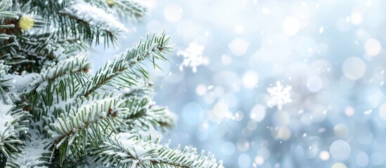 Aufkleber - Snow-covered Christmas tree branches with a blurred background, providing copy space image.