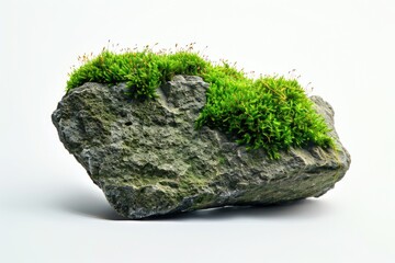 Poster - A natural rock covered in lush green moss