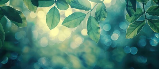 Poster - Close-up shot of green leaves at the top of the frame in a vintage style with bokeh effects, ideal for a copy space image with a natural background texture.