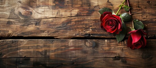 Poster - Valentine's Day-themed background with a solitary red rose placed on a wooden surface, creating an aesthetically pleasing composition with ample copy space image.