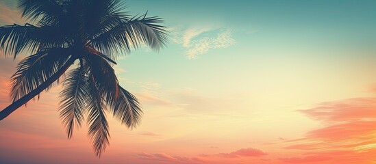 Poster - Silhouette of a tropical palm tree against a sunset sky with a cloudy abstract background creates a serene copy space image evoking a sense of summer vacation, nature travel, vintage filter style.