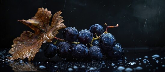 Poster - A black background highlights wet dark blue grapes with a dried leaf, leaving room for additional content in the image.