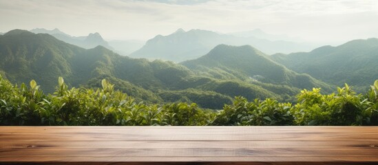 Fototapete - Wooden table with mountain view or desk with plant backdrop, allowing room for text, like a copy space image.