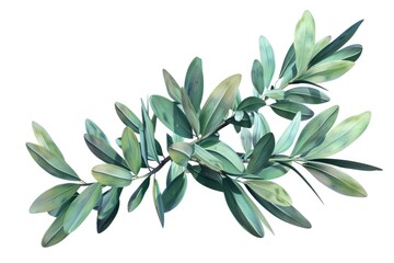 Poster - A branch with green leaves against a plain white background, ideal for use in designs and compositions where natural elements are required