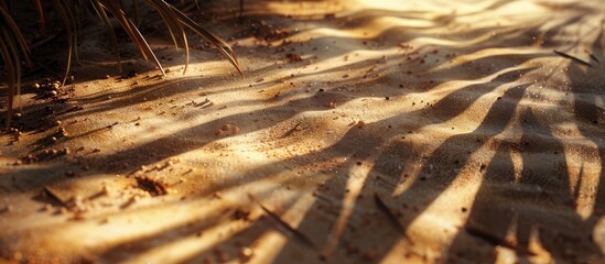 Poster - Focus on sandy ground with shadowy areas providing copy space image