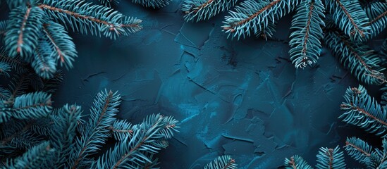 Leinwandbilder - Christmas tree branches in a shade of blue with space for adding images. with copy space image. Place for adding text or design