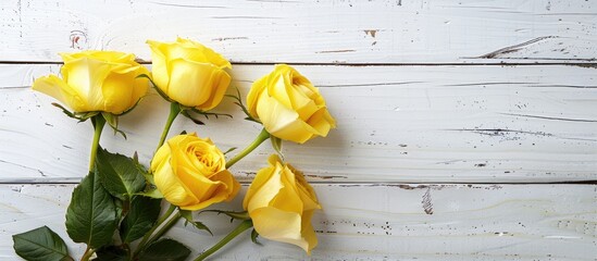 Leinwandbilder - Yellow roses displayed against a white wooden backdrop with copy space image available