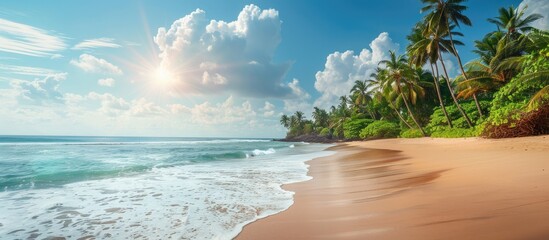 Wall Mural - Sandy tropical beach with available copy space image