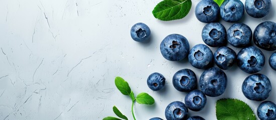 Poster - Blueberries showcased on a white backdrop with ample copy space for customization on the image