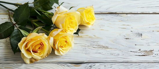 Leinwandbilder - Yellow roses displayed against a white wooden backdrop with copy space image available