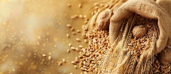 Poster - Copy space image featuring a jute sack filled with golden whole grains against a wheat grains background symbolizing the prosperity of agriculture and harvest for making bread
