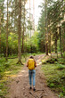 © maxbelchenko - Woman tourist yellow backpack hiking in spring forest. Hike and joy in nature. Female hiker explore woodland.