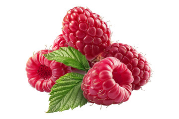 Wall Mural - Raspberry isolated on transparent background