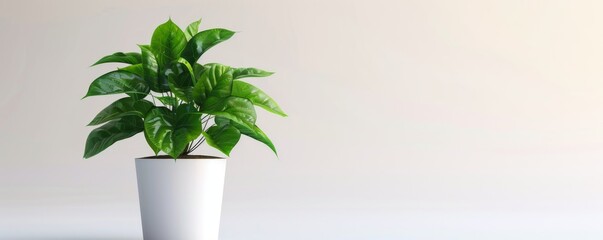 Isolated green potted plant on white background mockup, 4K hyperrealistic photo