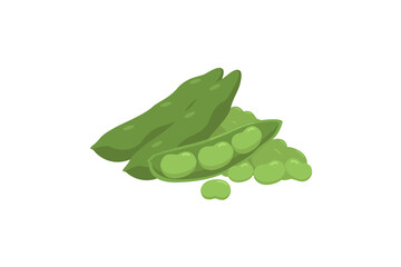 Flat vector Lima Bean JPG