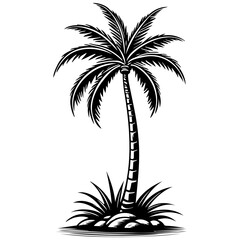 Wall Mural - Drawing palm tree monochrome outline drawing, realistic tattoo painting on transparent background