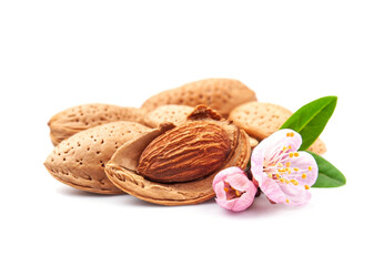 Wall Mural - Almonds nuts with flower blooms