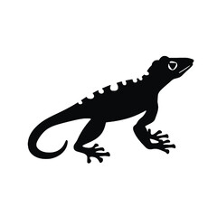 Gecko silhouette