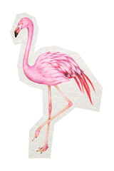 Wall Mural - pink flamingo png digital sticker, collage element in transparent background
