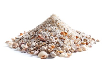 Poster - A close-up shot of a variety of sea shells arranged on a white surface