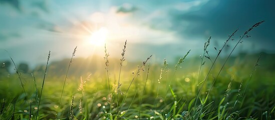 Poster - Beautiful nature themed travel photo with a blurred background and empty copy space image