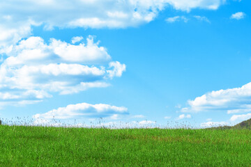 Beautiful background image of a spring nature field against a blue sky with clouds on a bright sunny day. Green lawn against the sky.