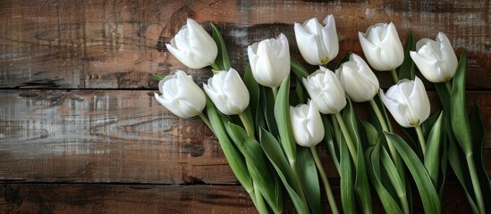 Wall Mural - Rustic white tulips with copy space image