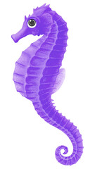 Wall Mural - purple seahorse png sticker, animal illustration, transparent background