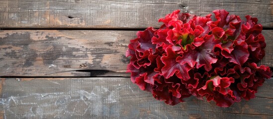 Aufkleber - Top down view of vibrant red coral lettuce on a wooden surface with room for text in the background Copy space image