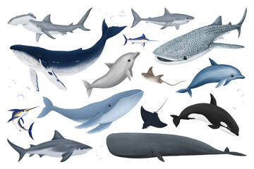 Poster - Large sea life animals png sticker illustration, transparent background set