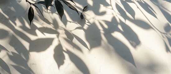 Poster - Natural tree shadows creating abstract leaf patterns on a white wall background perfect as a copy space image for wallpaper or designs