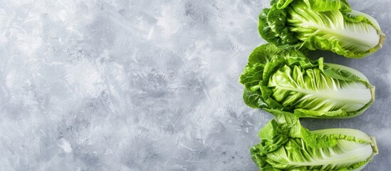 Poster - Top view of fresh green romaine lettuces on a light grey table with copy space image available