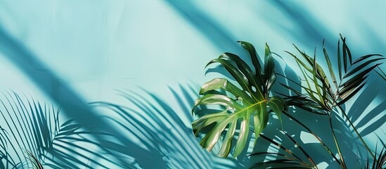 Leinwandbilder - A tropical plant s leaf shadow cast on a light blue background providing copy space View from above