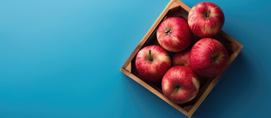 Poster - Pink apple beautifully arranged in a box against a blue background with copy space image