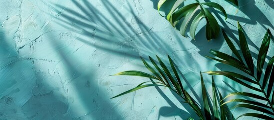 Leinwandbilder - A tropical plant s leaf shadow cast on a light blue background providing copy space View from above