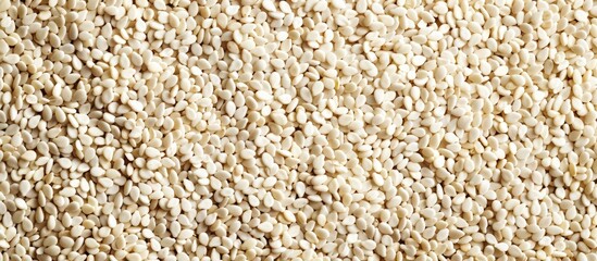 Poster - White sesame seeds ideal for background texture with room for copy space image