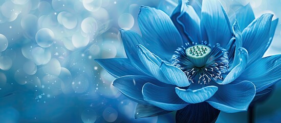 Poster - Detailed closeup showcasing a blue lotus with copy space for use as a background or wallpaper image